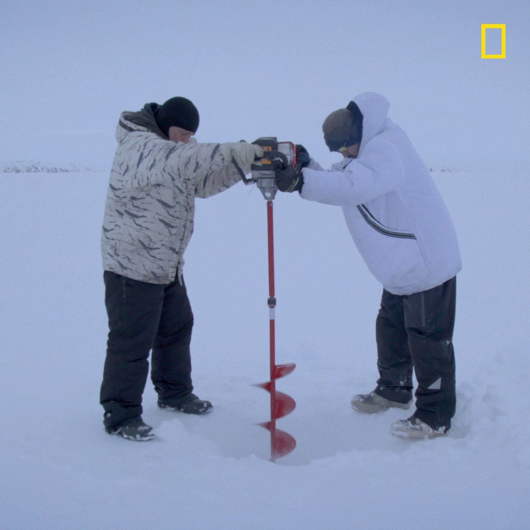 National geographic tv on twitter now that s what you call a