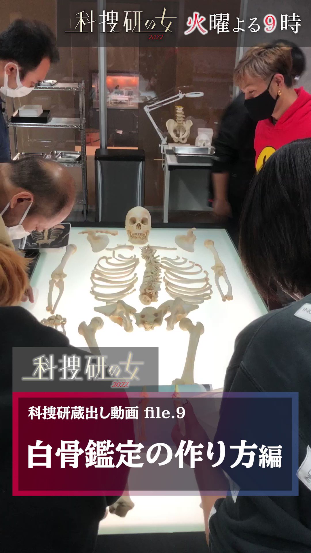 女　死体 ◤￣￣￣￣￣￣￣￣￣￣￣￣￣ #科捜研蔵出し動画🎥file9️⃣  ______◢ 白骨死体はこうやって作られた⁉ スタッフの地道な作業を ご覧ください…😲 こちらのシーンが登場する 第４話は #TVer で👇  https://t.co ...