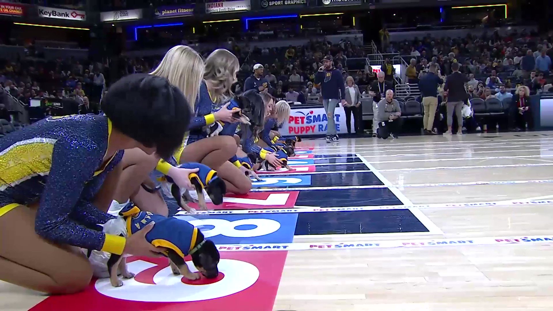 Goodable on Twitter "Last night, the Indiana Pacers held a puppy race