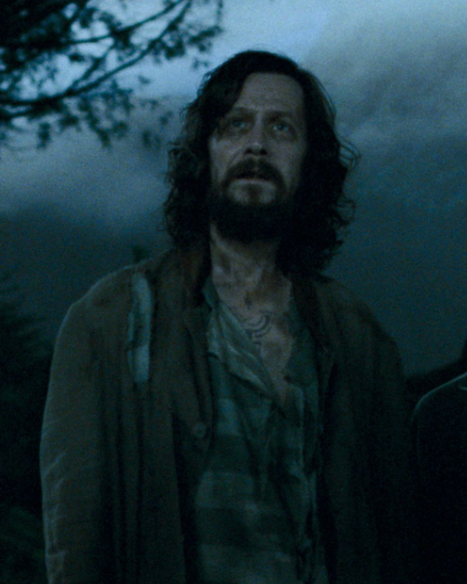 Harry potter film on twitter we ve all got both light and dark