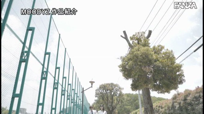 射精管理 憧れの女上司との出張泊でひたすら痴女られて一晩中続く快感ピークアウト 神宮寺ナオ https://t.co/Lrpau8xaHD