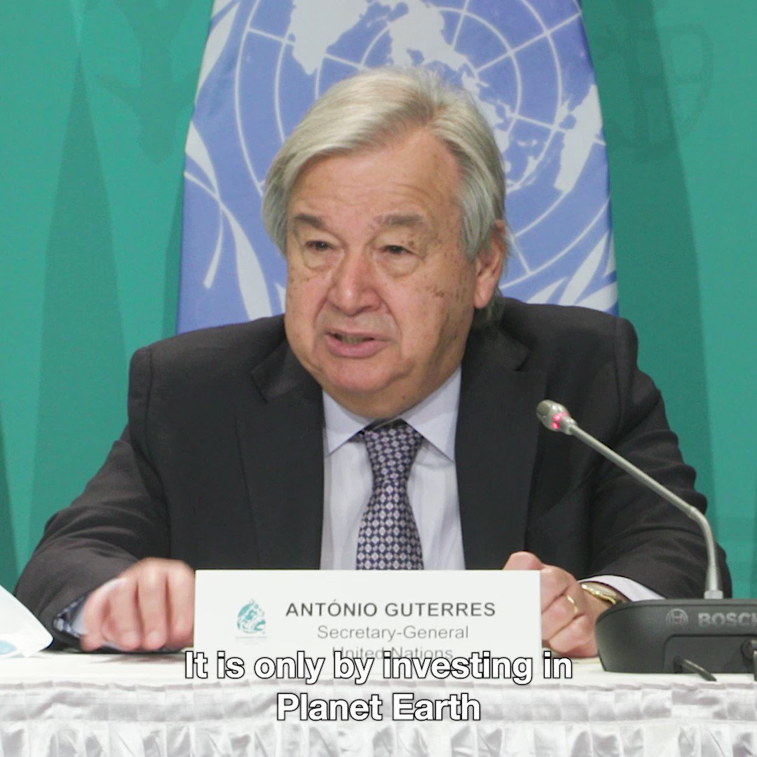 VELUX (VELUX) / Twitter