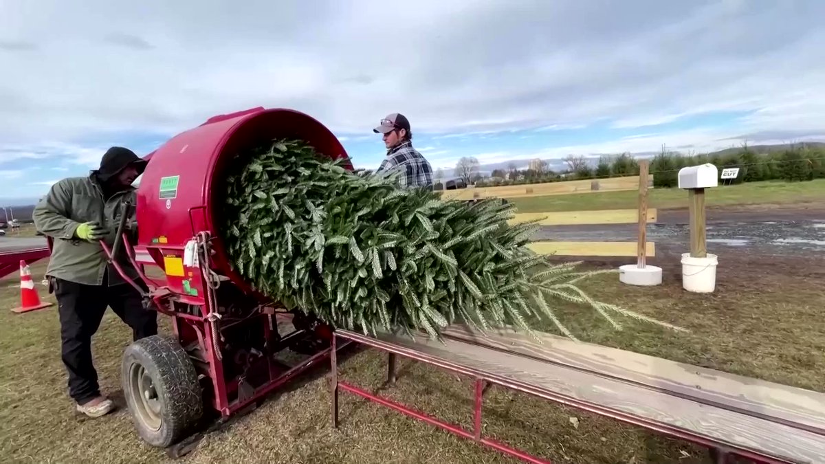 Reuters on Twitter "🎄 High input costs and unfavorable weather is