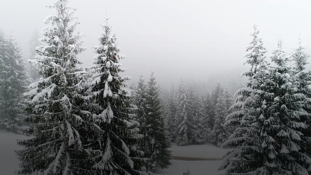 Oprah Daily on Twitter: quot 5 Tips for Winter Skincare quot Oprah Daily on Twitter: quot 5 Tips for Winter Skincare quot