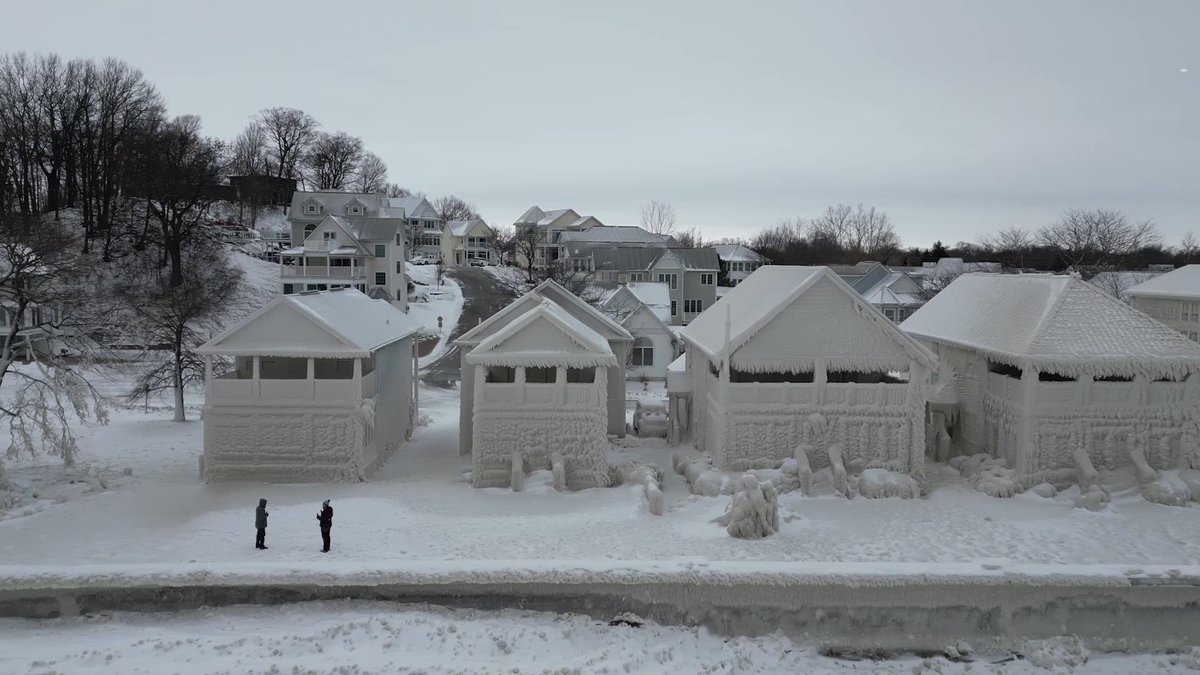 Wildraar 🦊🐯🐵 on Twitter "RT Reuters ICYMI Drone footage shows a row