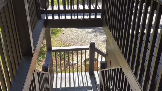 ?Cabin Fever? The Series??

??The Cabin 3some??

Starring:
@greu28 
@PacoColombiano_ 
@ReyXXL 

Having