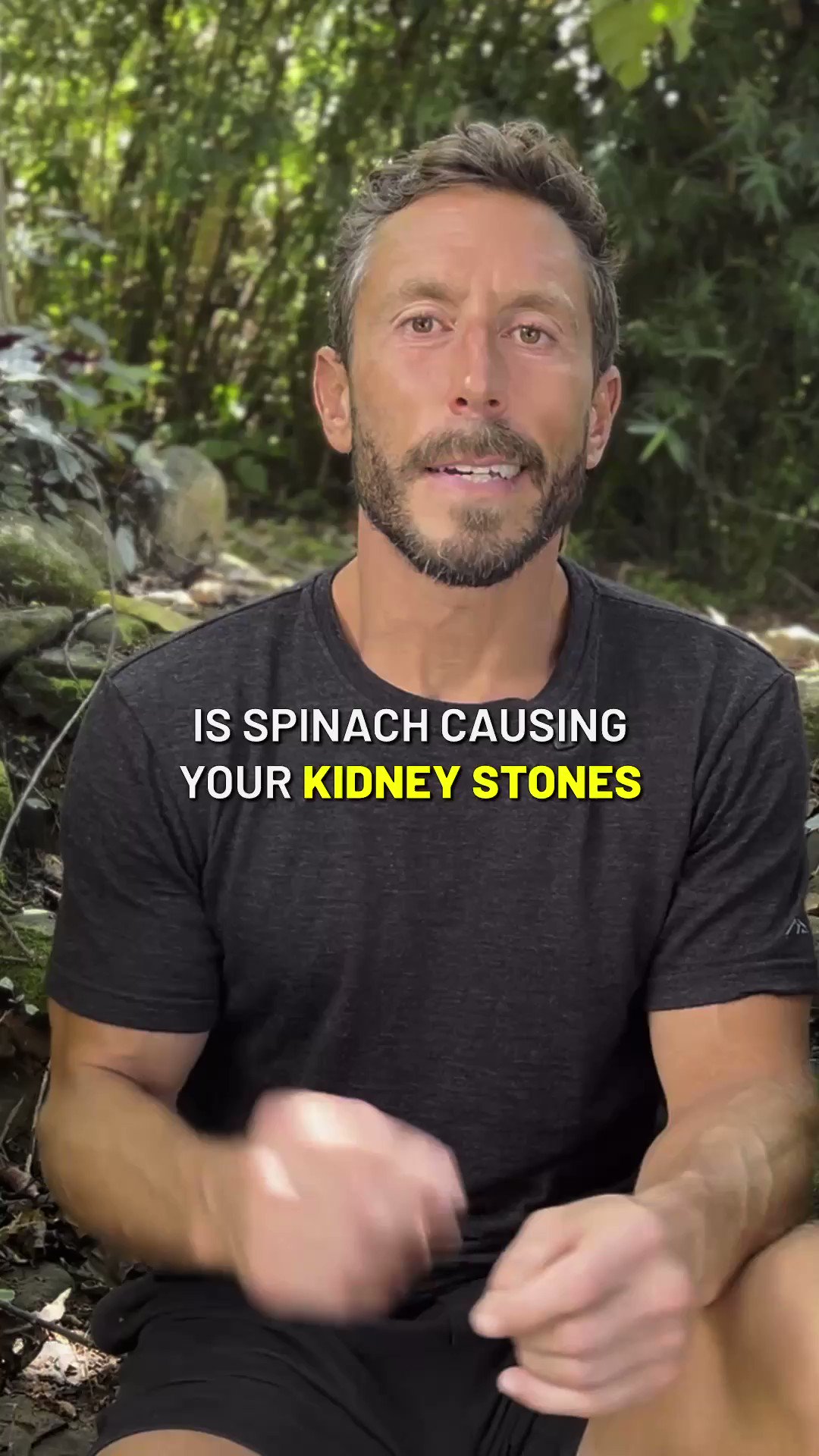 Paul Saladino, MD on Twitter: "Spinach is not a superfood… https://t.co