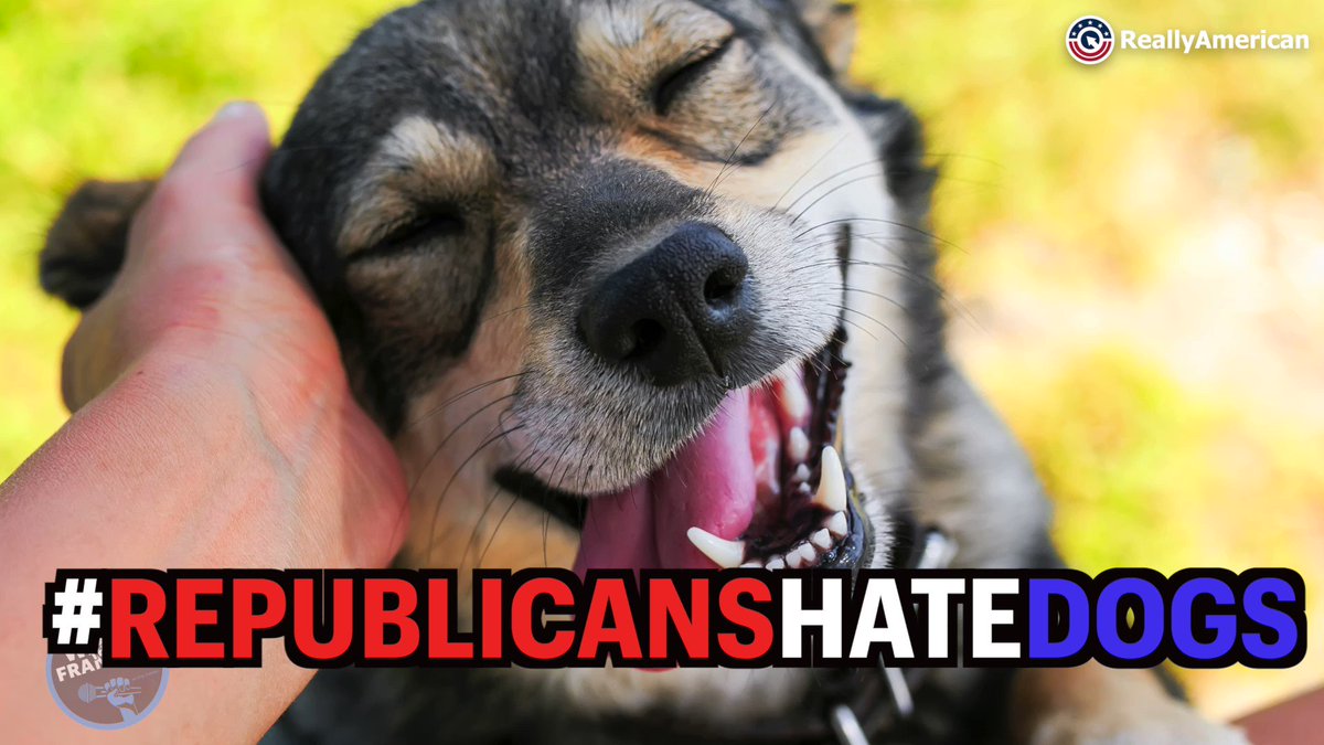 Cricketdiane On Twitter Quot Rt Mmpadellan Republicans Make A Lot Of