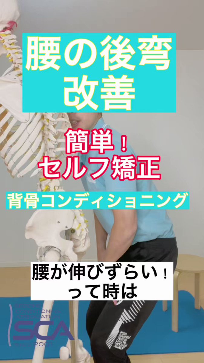 最新情報 仙骨枕 腰痛 肩こり セルフ矯正 背骨コンディショニンク 最新情報 仙骨枕 腰痛 肩こり セルフ矯正 背骨コンディショニンク