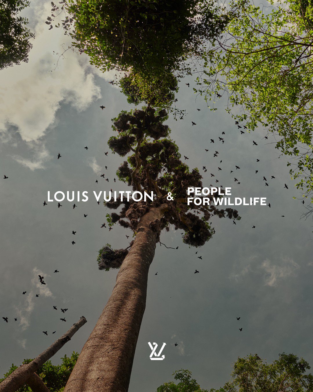 Louis Vuitton on X: Immense biodiversity. With this partnership