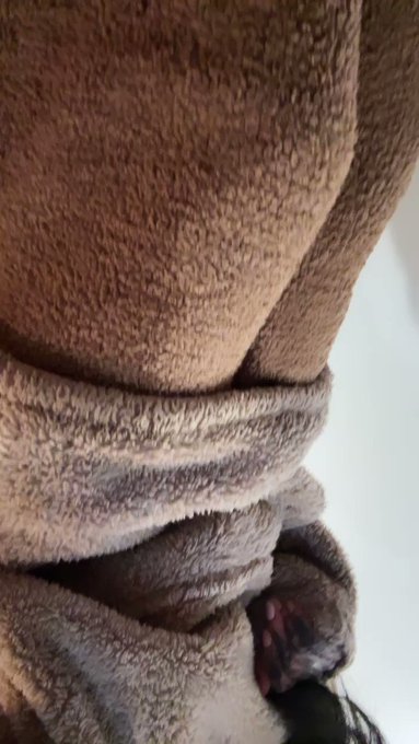 I’m a fuzzy guy https://t.co/Ac0UyYuA7X