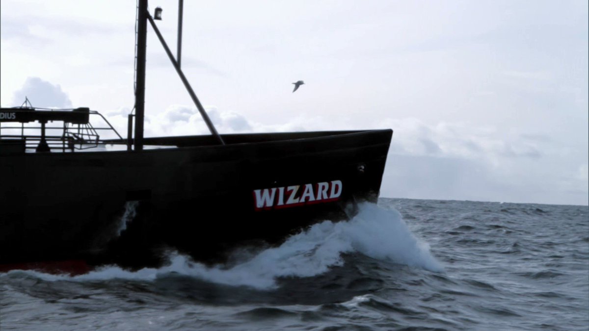 Follow up on wizard deckhand collapsing and coast guard|TikTok Search