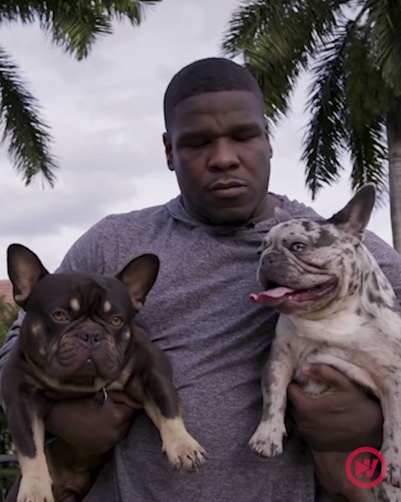 3rd Most rushing yards of ALL TIME. 

Happy Birthday Frank Gore! 