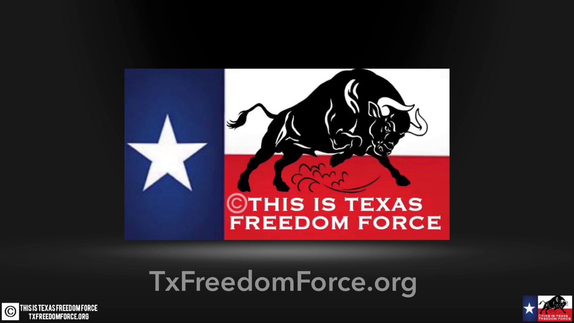 This Is Texas Freedom Force on Twitter: "This month, 187 years ago, the