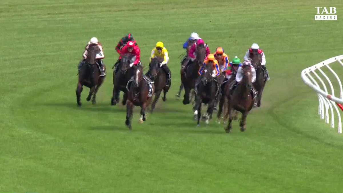 TAB Racing on Twitter "One of the best fields we have seen in a long time but IMPERATRIZ was in