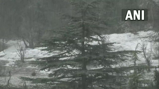 #WATCH | Himachal Pradesh: Snowfall continues in higher reaches of the state. Vi…