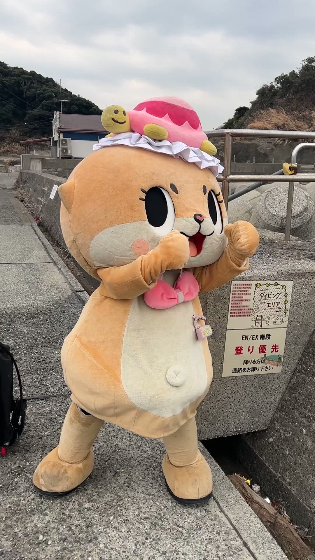 Highlights by ちぃたん☆/Chiitan (@chiitan7407) / X Highlights by ちぃたん☆/Chiitan (@chiitan7407) / X