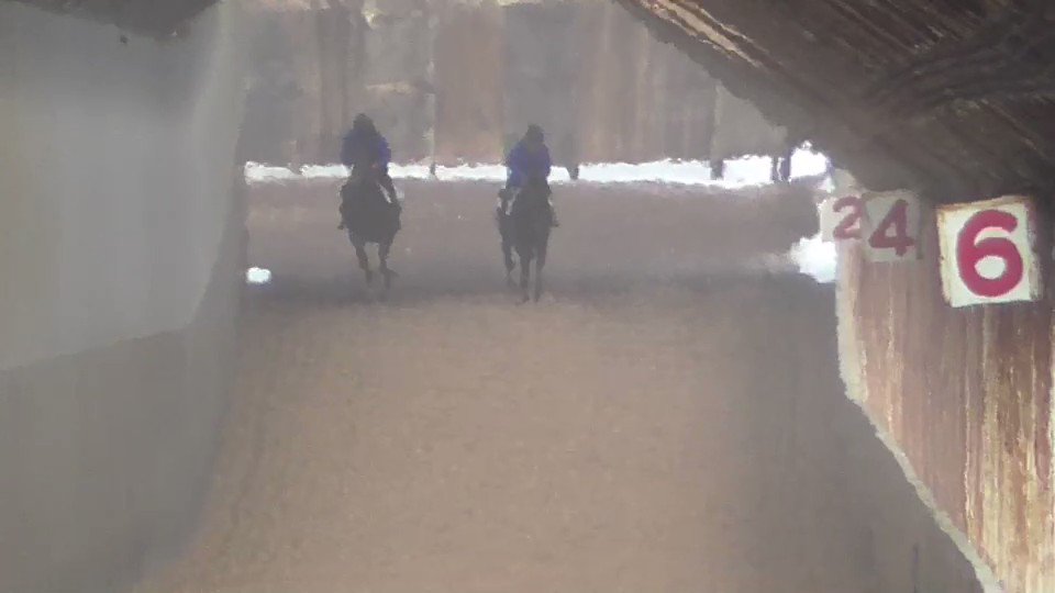 キョウワエステルのヘニーヒューズ元気に坂路駆け上がる姿見て安心しました😊(頼もしくなったなぁ🥲)
このまま順調に行ってほしいです🙏 