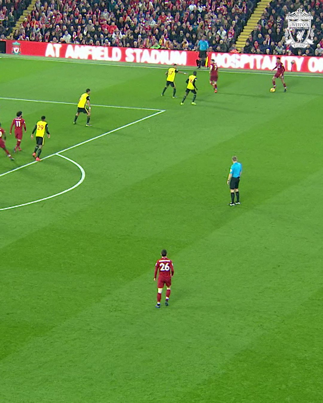 Not Pep Lijnders (@lunaticlijnders) / Twitter 