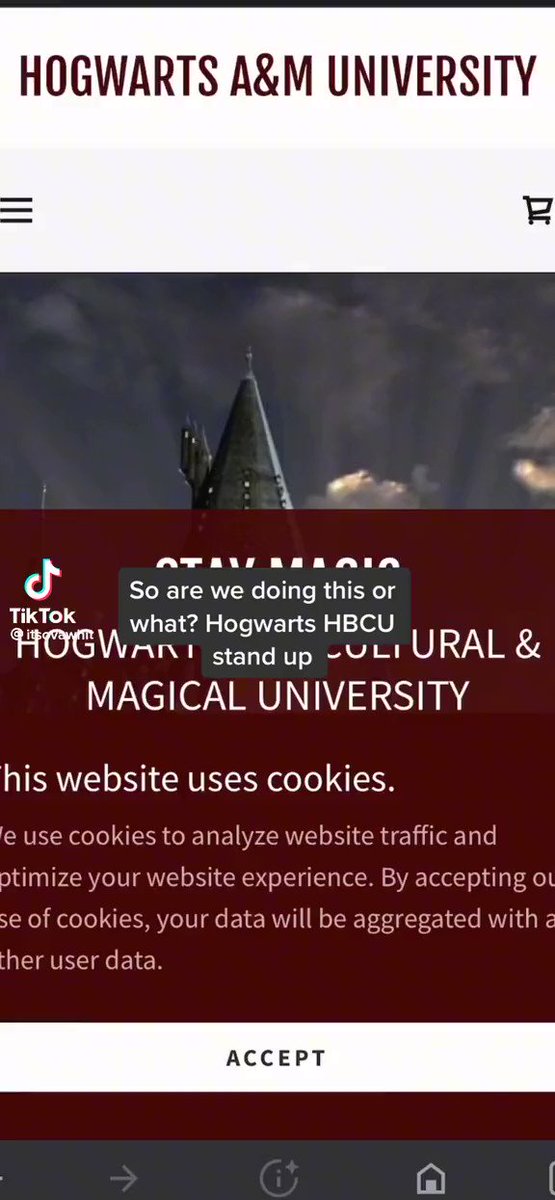 Let’s Geek Out! on Twitter: "So Hogwarts HBCU, Hogwarts A&M University