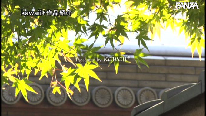 出張先の相部屋で絶倫上司に何度も何度もイカされて…粘着質な愛撫とデカチンSEXに溺れた巨乳新人OL 夏巳ゆりか https://t.co/a6dKdhuMjR