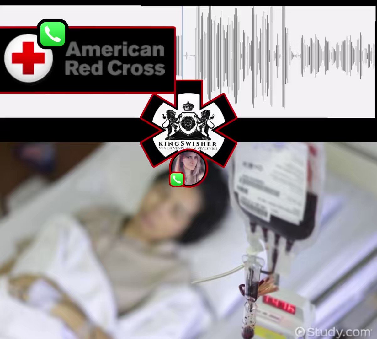 Jenny on Twitter "WILL YOU NEED🩸BLOOD? Are you unvaccinated and