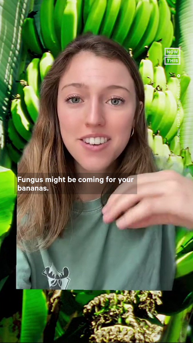 Nan’s Garden on Twitter "RT nowthisnews Fungus might be coming for