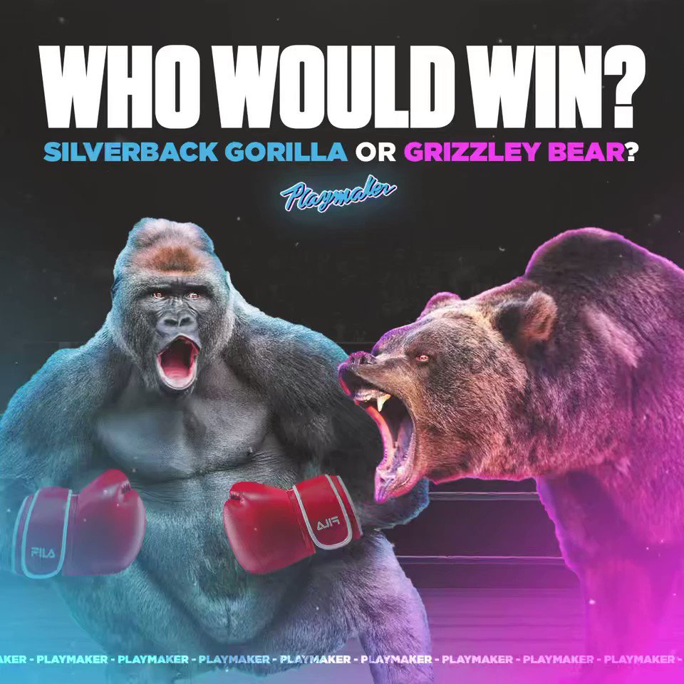 Bear Vs Gorilla