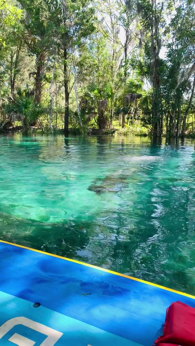 “Still can’t be washed away ,  Not even In that Florida water ” ? https://t.co/GpQerCY3QR