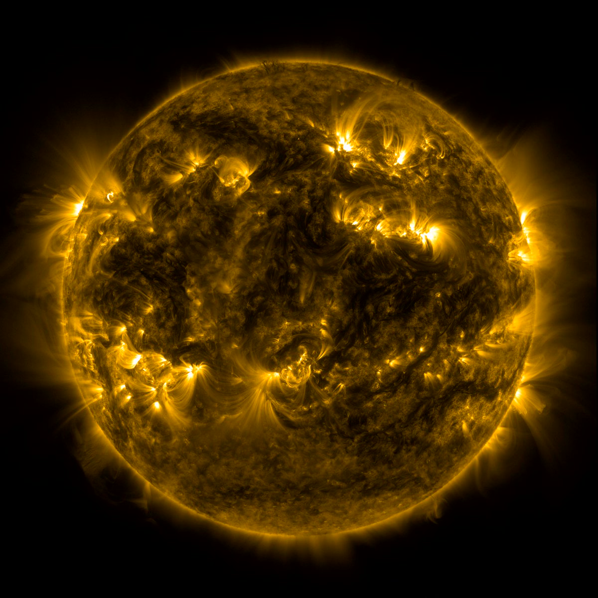 ハッピー!今週の宇宙天気予報には、3 つの顕著な太陽フレア、26 のコロナ質量放出が含まれており、地磁気嵐はありません。 NASA のソーラー ダイナミクス天文台からのこの太陽のビデオには、いくつかの明るいコロナ ループと約 90 秒の刺激的な噴火が含まれています。 