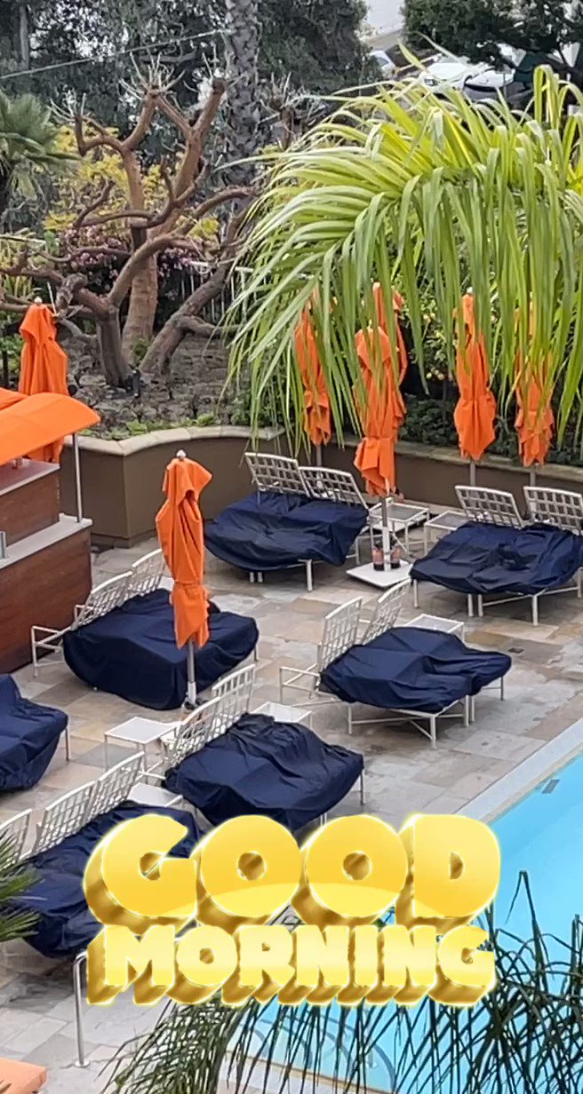 Carrie Zeier (carrie_zeier) / Twitter