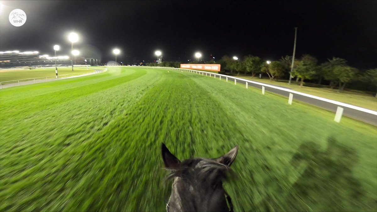 グローリーヴェイズがアーモンドアイ凌駕した幻のドバイを思い出す 