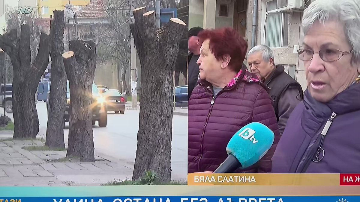 Sokolov on Twitter: "Общинари Герб в Бяла Слатина отрязали 100 кестена ...
