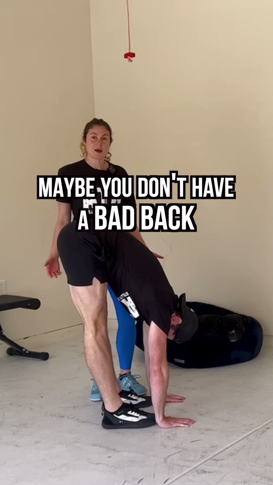 KneesOverToesGuy on Twitter "Maybe you don’t have a bad back? The lower back was mysterious to