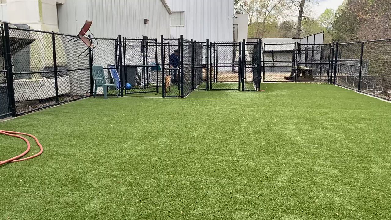 The Washington Post on Twitter "The Wake County Animal Center in