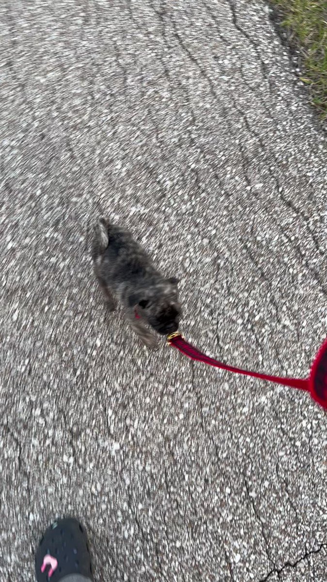 maddy meadows on Twitter "WHYS HE MOVIN’ LIKE THIS?"