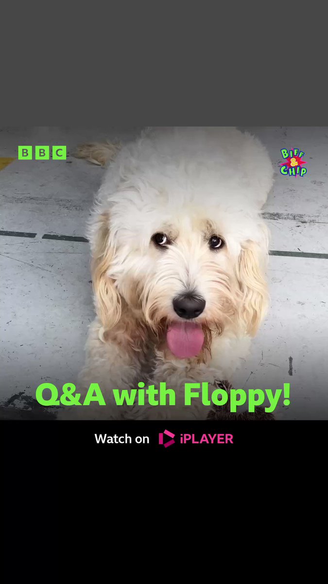 CBeebies GrownUps 🎉 on Twitter "Impawtant questions answered! What