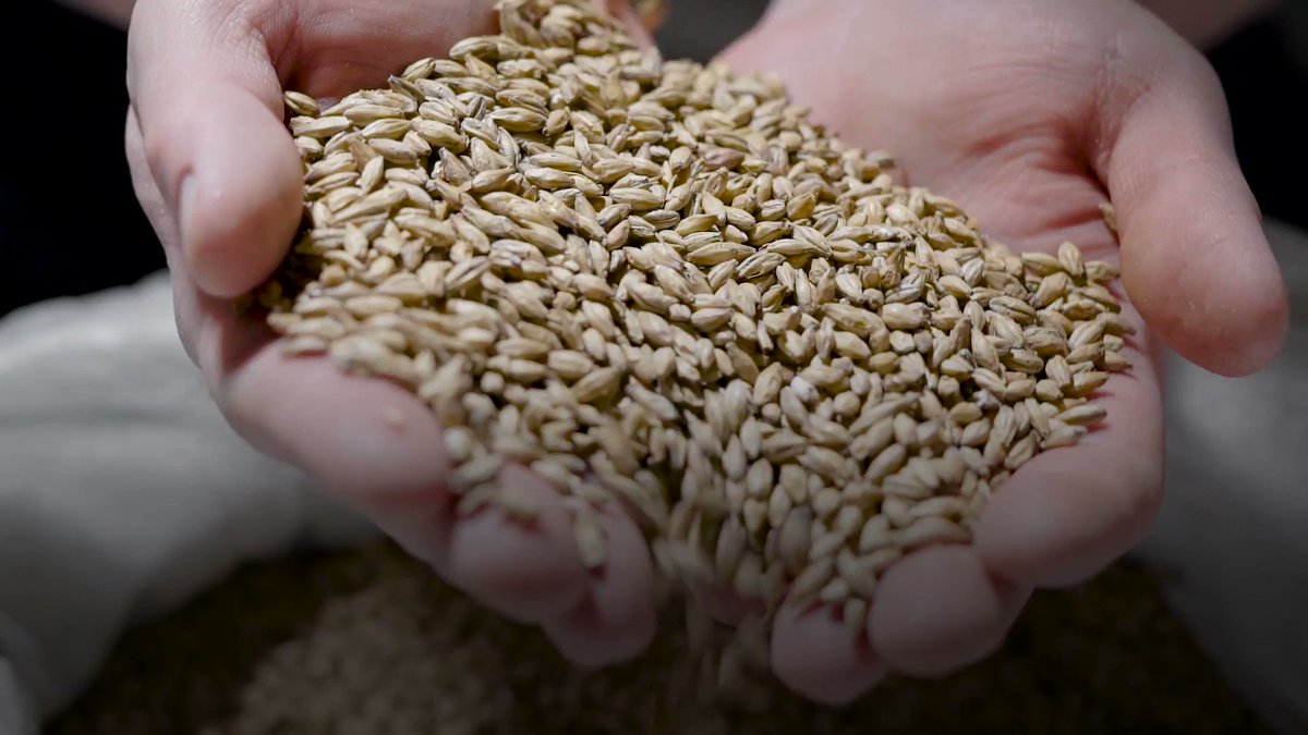 Men's Health Mag on Twitter "Whole grains provide healthy fibers