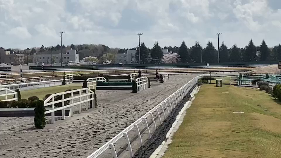 自分もがんばらなきゃって
思う！！
ニシノアジャスト
ニシノデイジーもがんばれよ💪🔥 