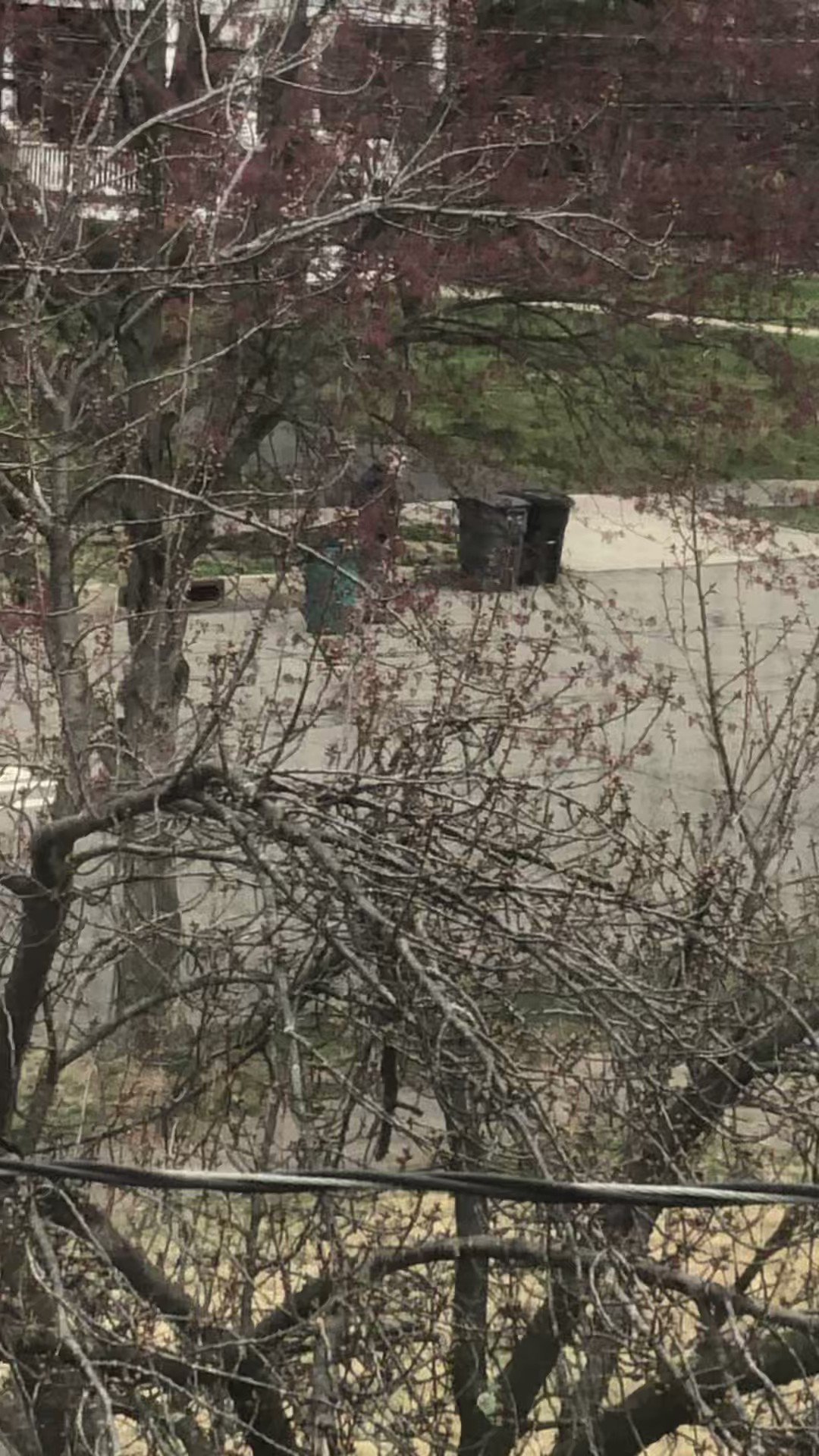 Greg Ehrenberg on Twitter "There’s a guy on my street who appears to
