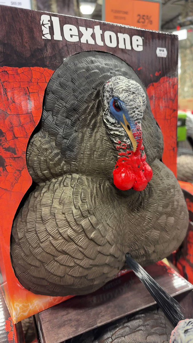 AroomiKim🇰🇷 on Twitter "Like if u think the turkey looks like me 👀"