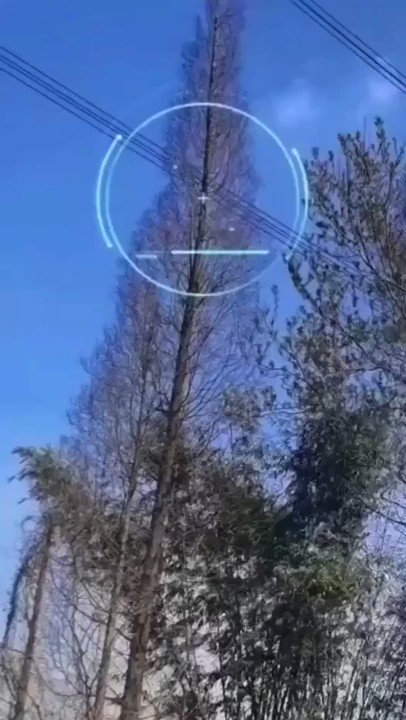 on-twitter-rt-gunsnrosesgirl3-using-lasers-to-cut-tree
