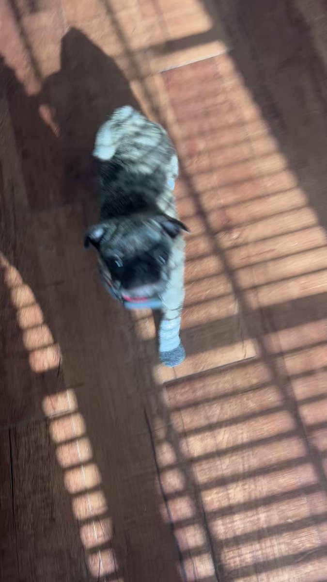 maddy meadows on Twitter "I may or may not have bought my son socks…."