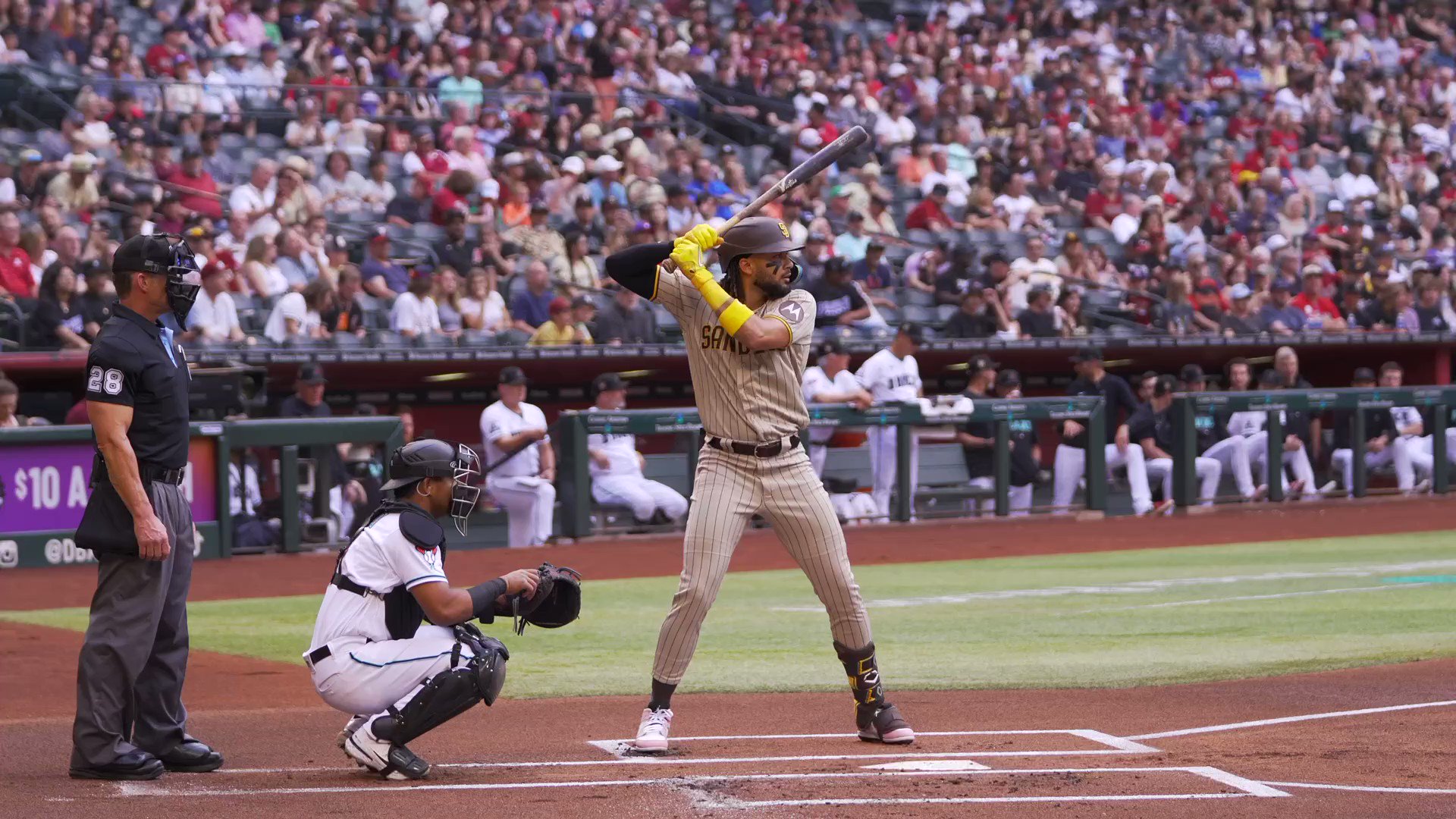 San Diego Padres on X: Hype. #BringTheGold  / X
