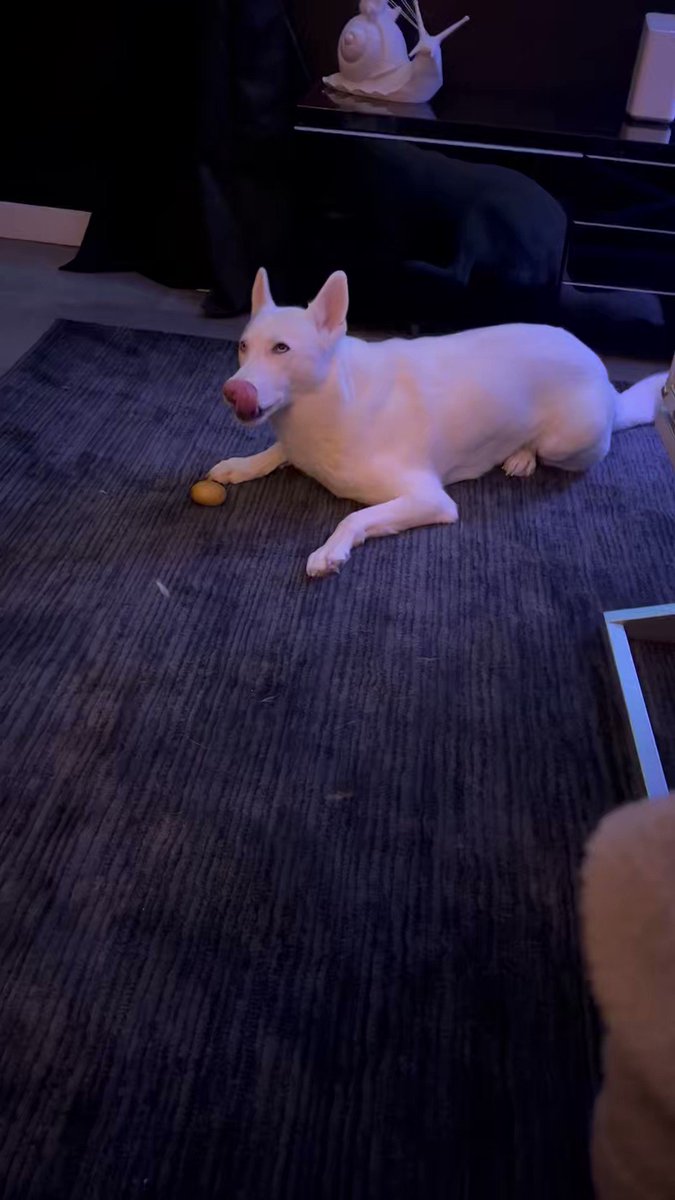 Play video: Preview of: A wolf night at the Rage house