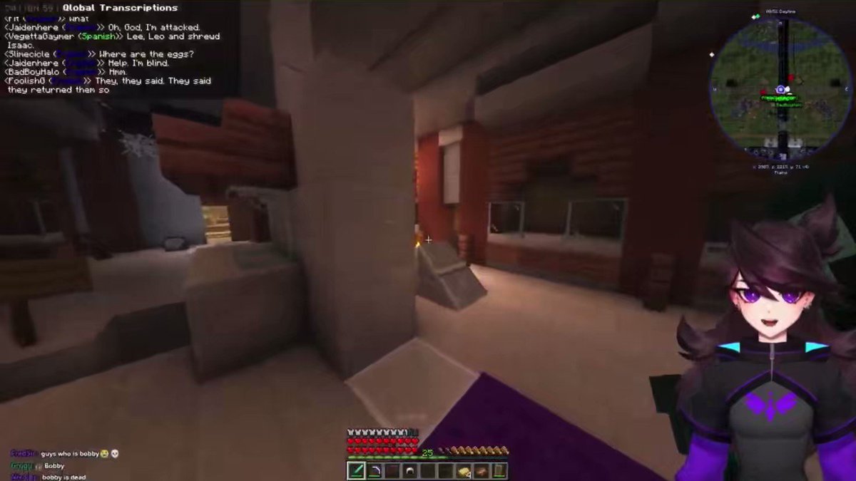 QSMP: The Adoption of Bobby