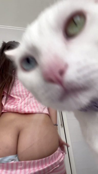 Que t&uacute; tas viendo????😾 https://t.co/8YBiZm12ZU