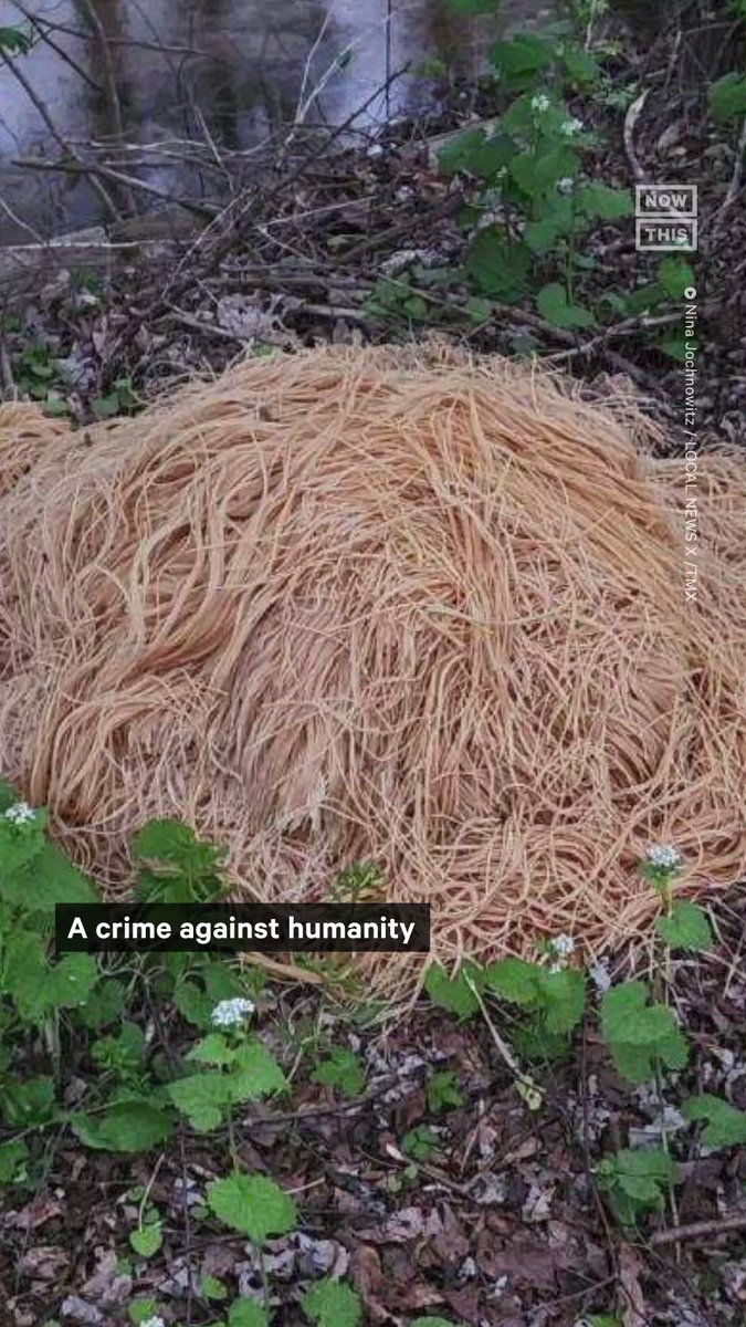 NowThis on Twitter "Who left what ‘appeared to be 15wheel barrel