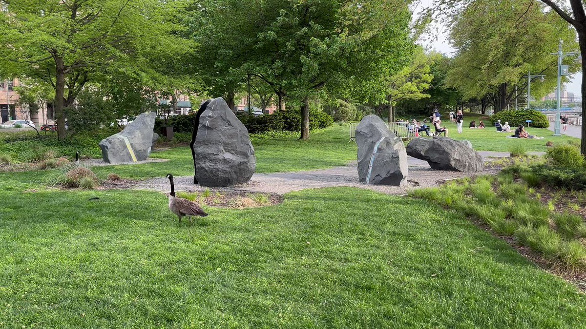 Barbarian Capital on Twitter: "RT @SamAntar: Disgusting lady let’s her