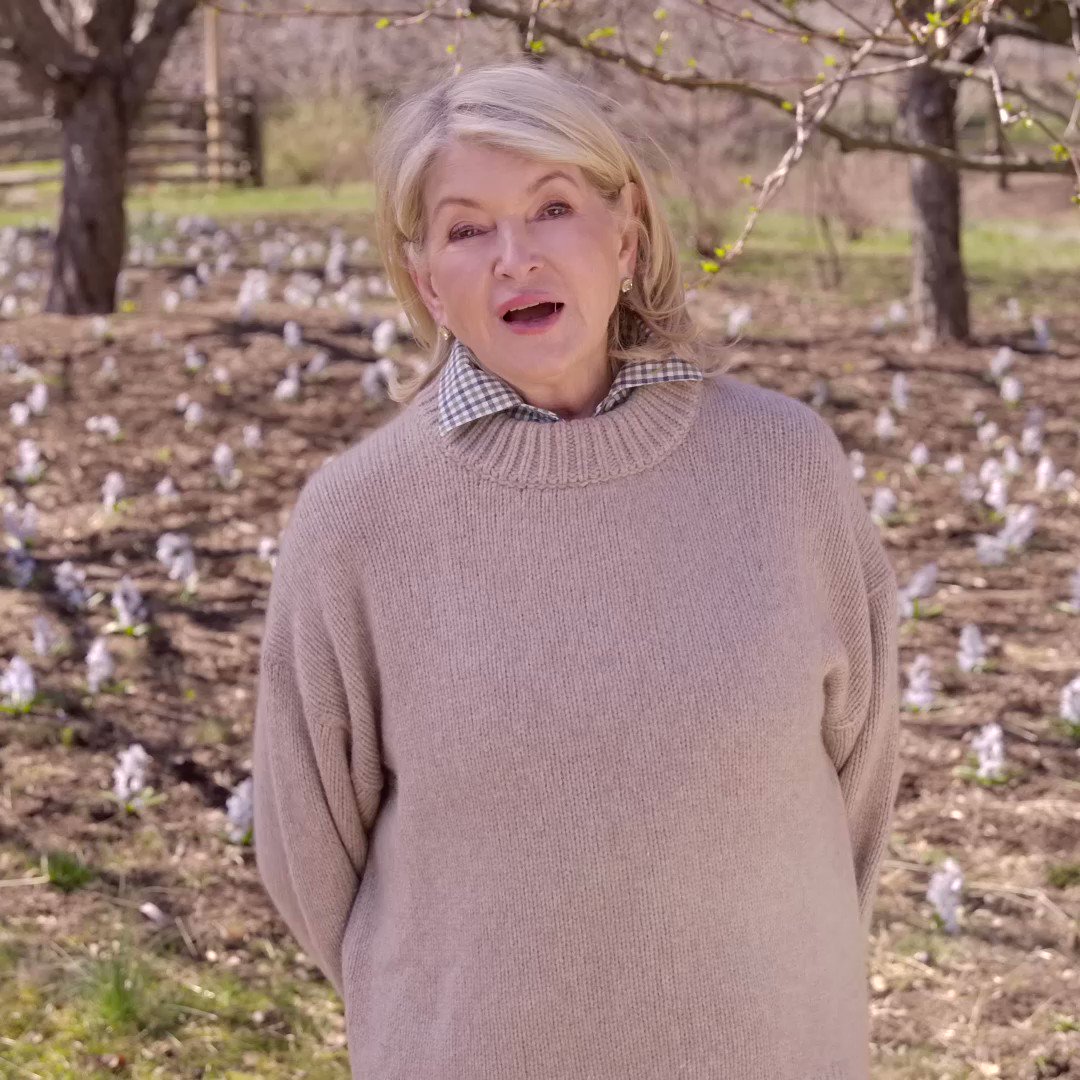 The Roku Channel on Twitter: "What can't @MarthaStewart do?"
